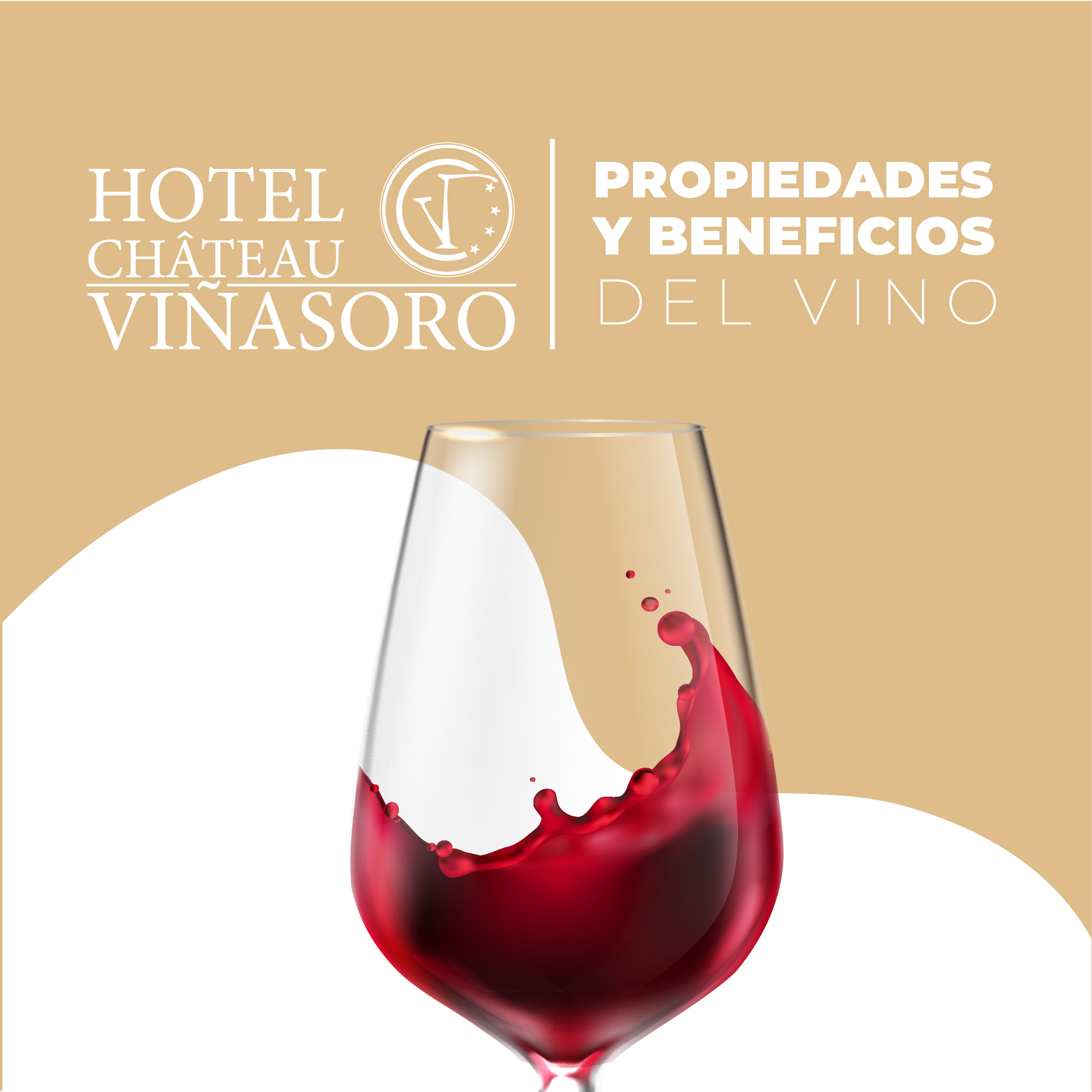 ¿Cuáles son los beneficios del vino? ¿Y sus propiedades? | Enoturismo Hotel Château Viñasoro